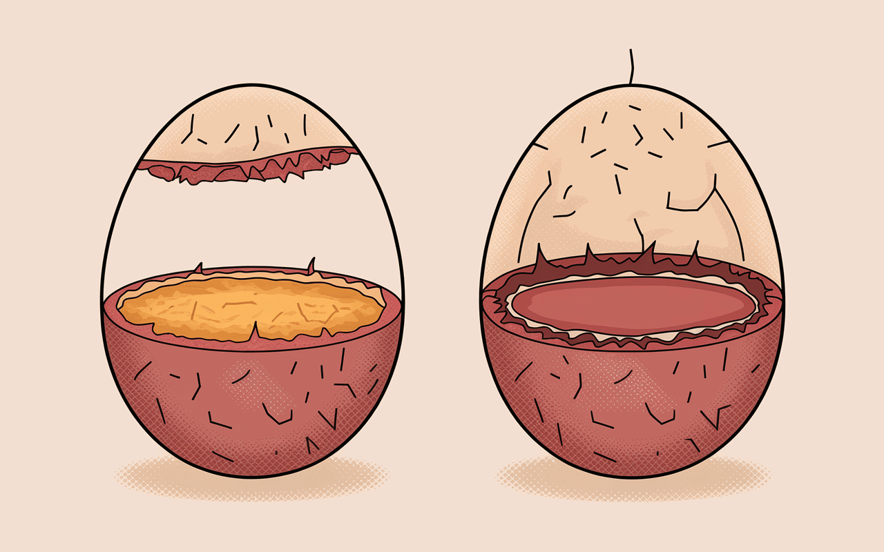Coupe oeuf qui flotte à la cuisson poche d'air