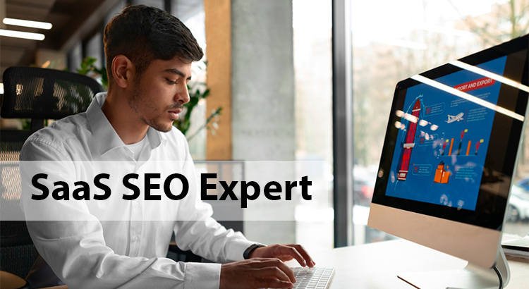 saas seo expert
