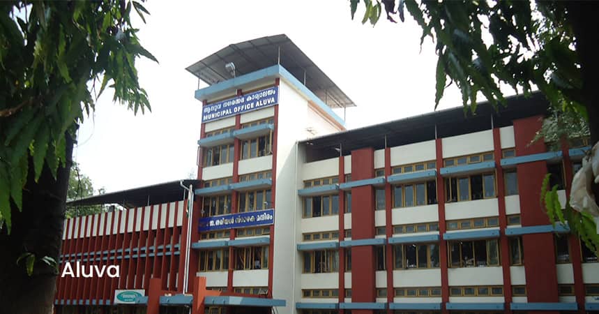 aluva digital marketing guide