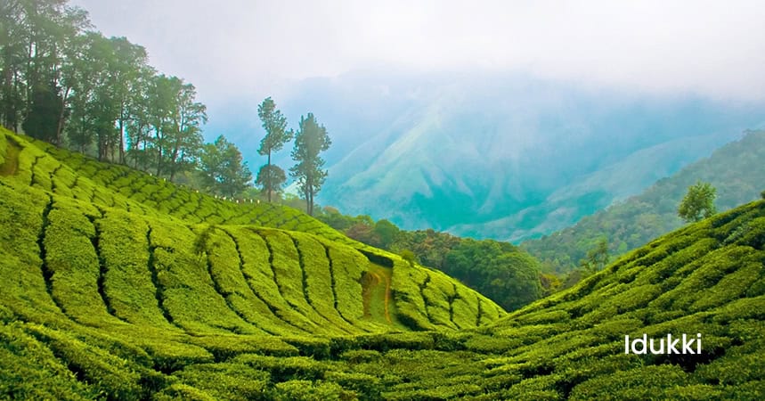 local business guide idukki