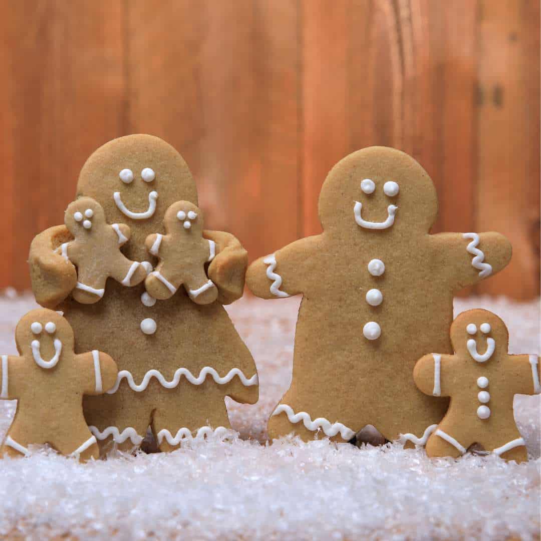 2022 Rhode Island Kids Christmas Guide
