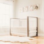 Welcoming Home a Baby A Guide for Intended Parents