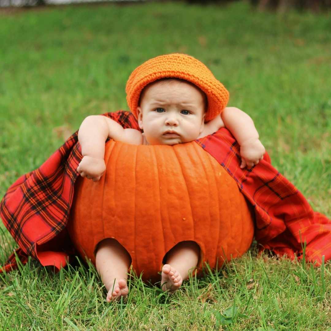 a baby in a pumpkin in the grass
