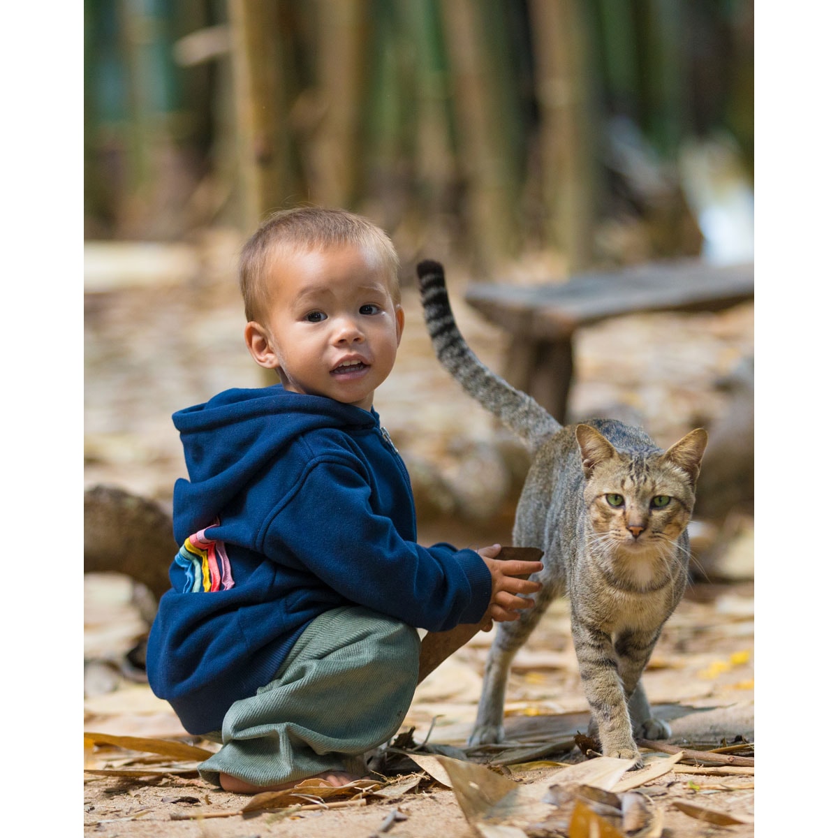 Hoodie Dunkelblau Rainbow – Bild 2