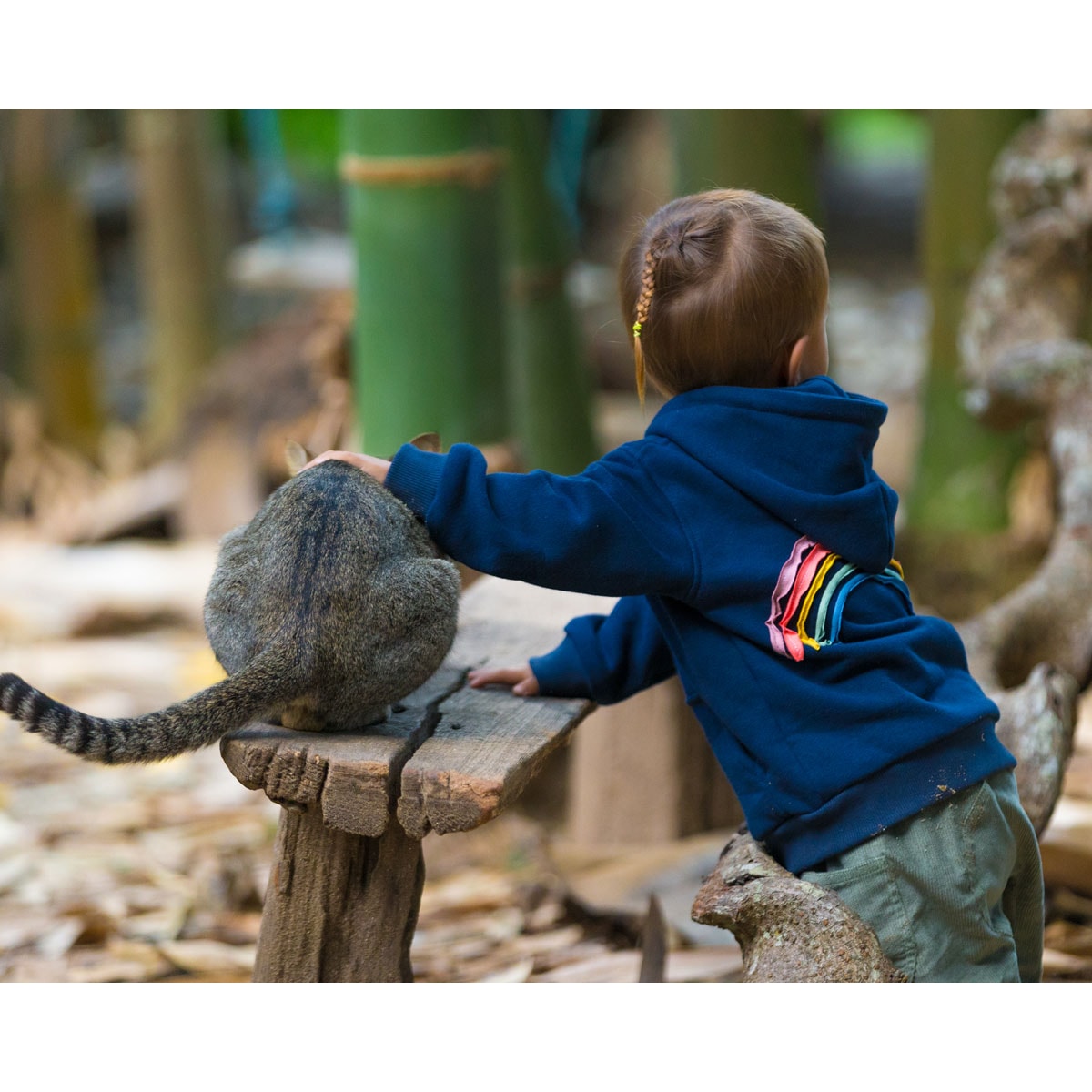 Hoodie Dunkelblau Rainbow – Bild 5