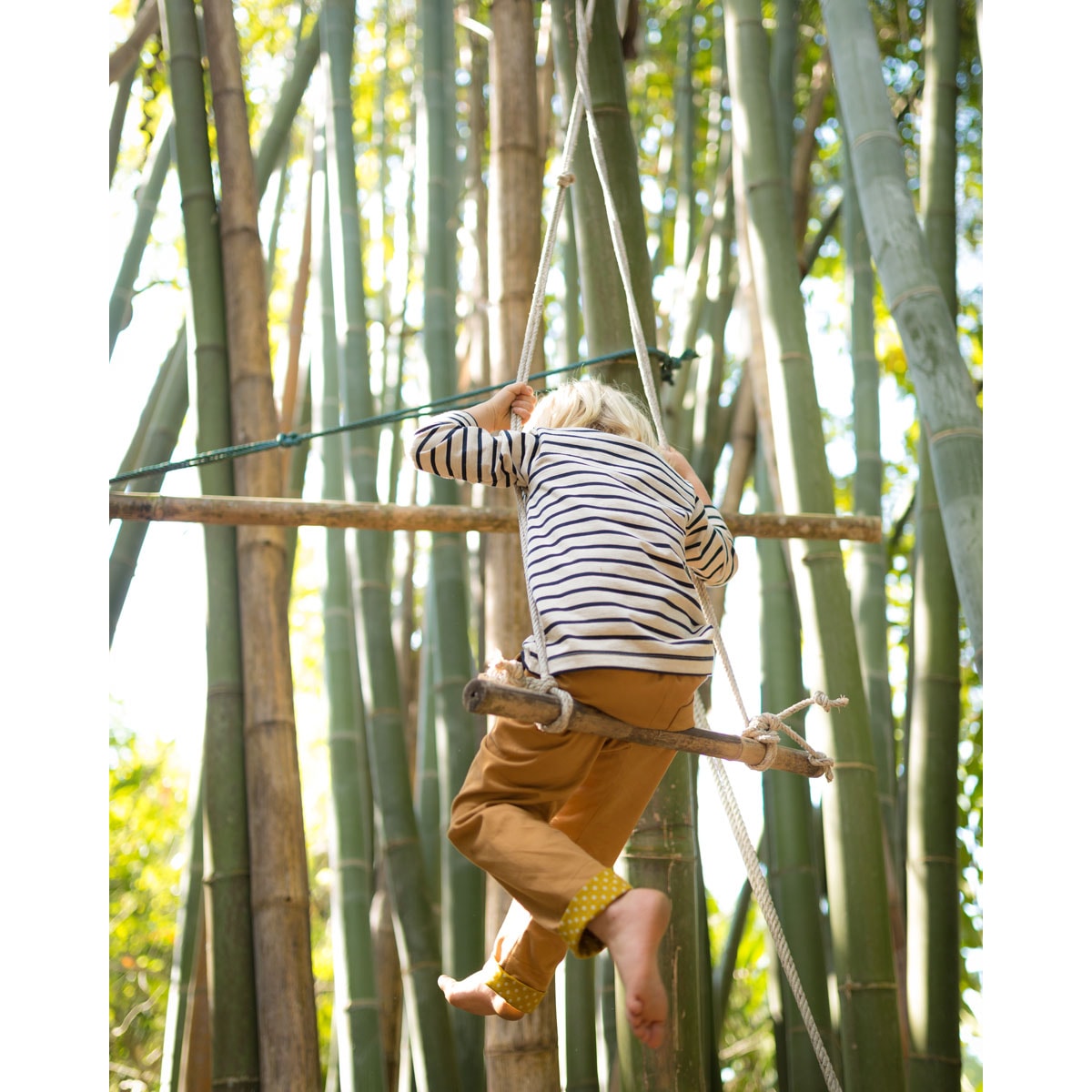 Chino Hose Senf – Bild 4