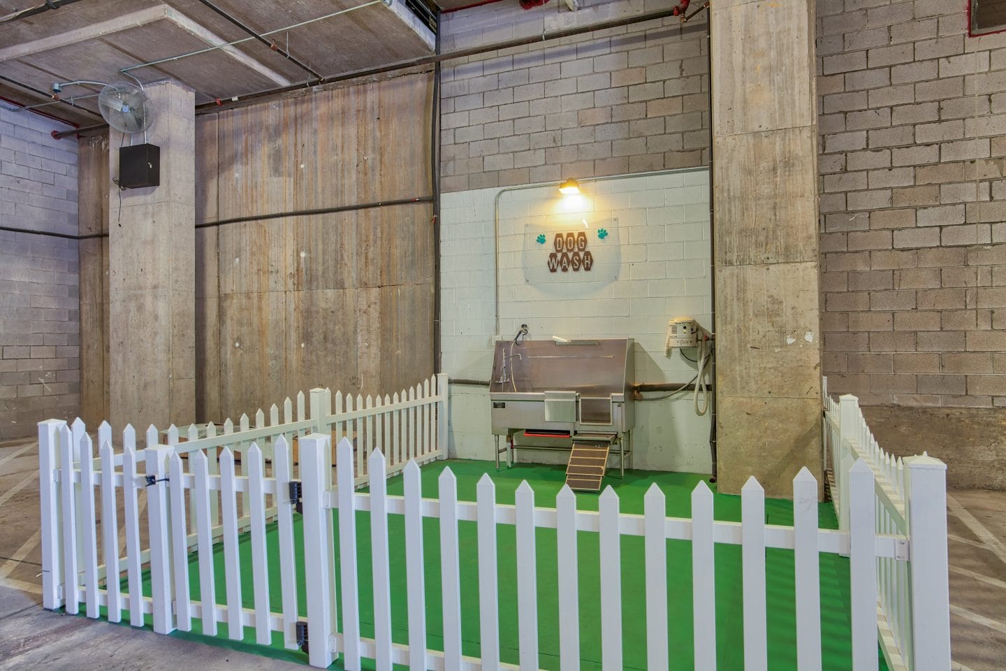 Pet Wash at Glass House Dallas, Texas
