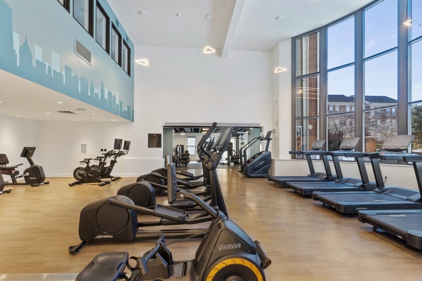 A gym with treadmills and exercise bikes.