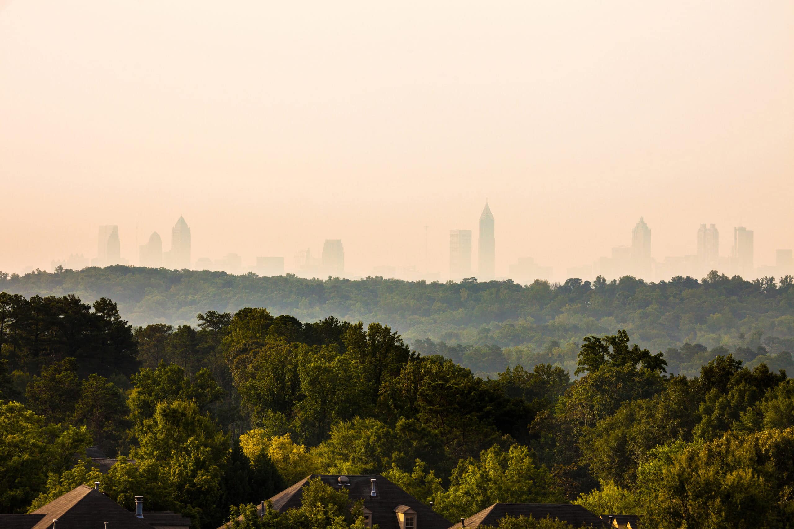 Atlanta-Cobb-scaled