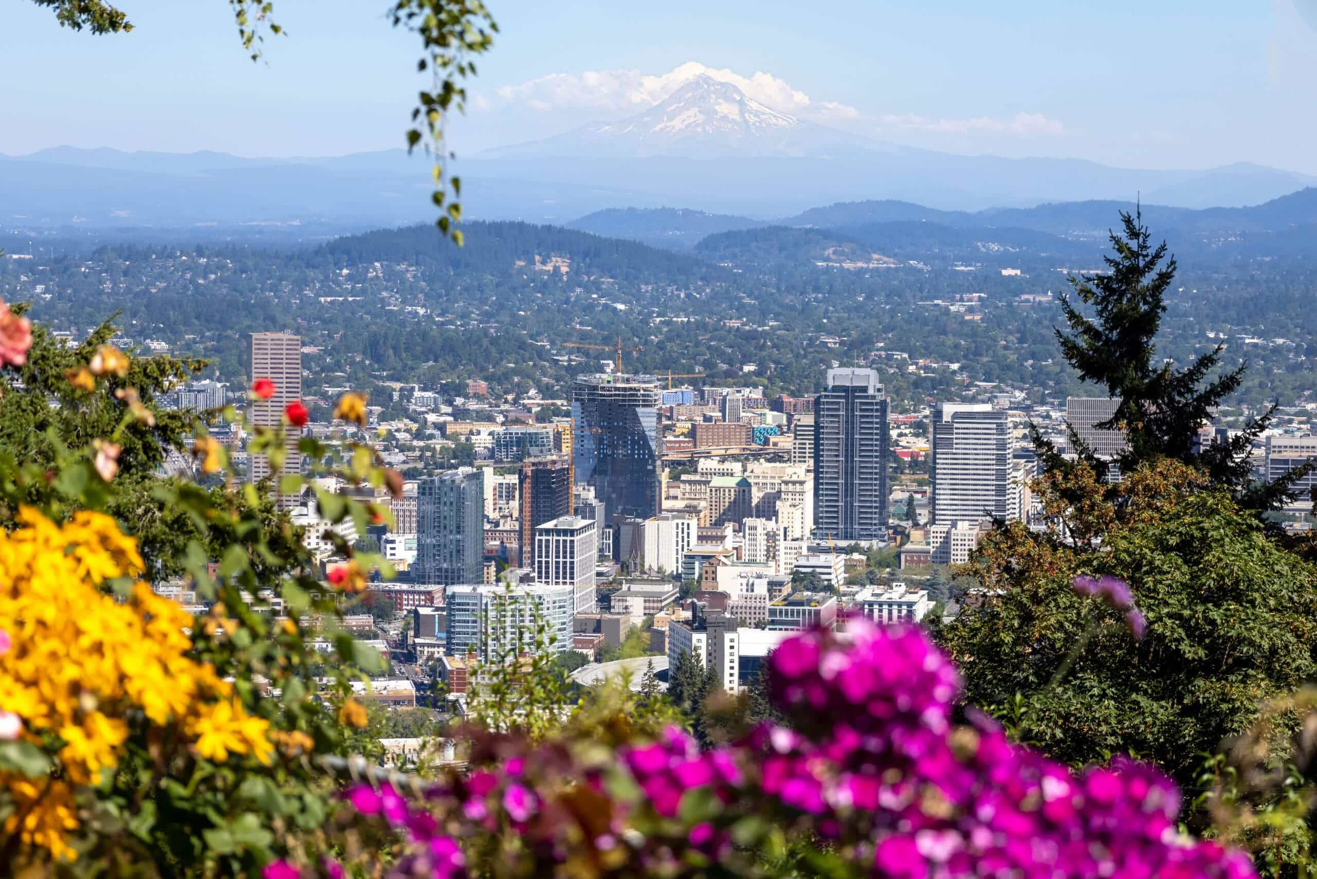USA, panoramic view of Portland city downtown, Columbia River and national forest park Mount Hood