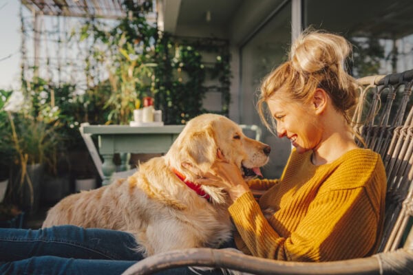 A woman in a yellow sweater sits on a wicker chair, smiling warmly at a golden retriever with a red collar, gently holding its face, on a sunlit balcony decorated with plants.