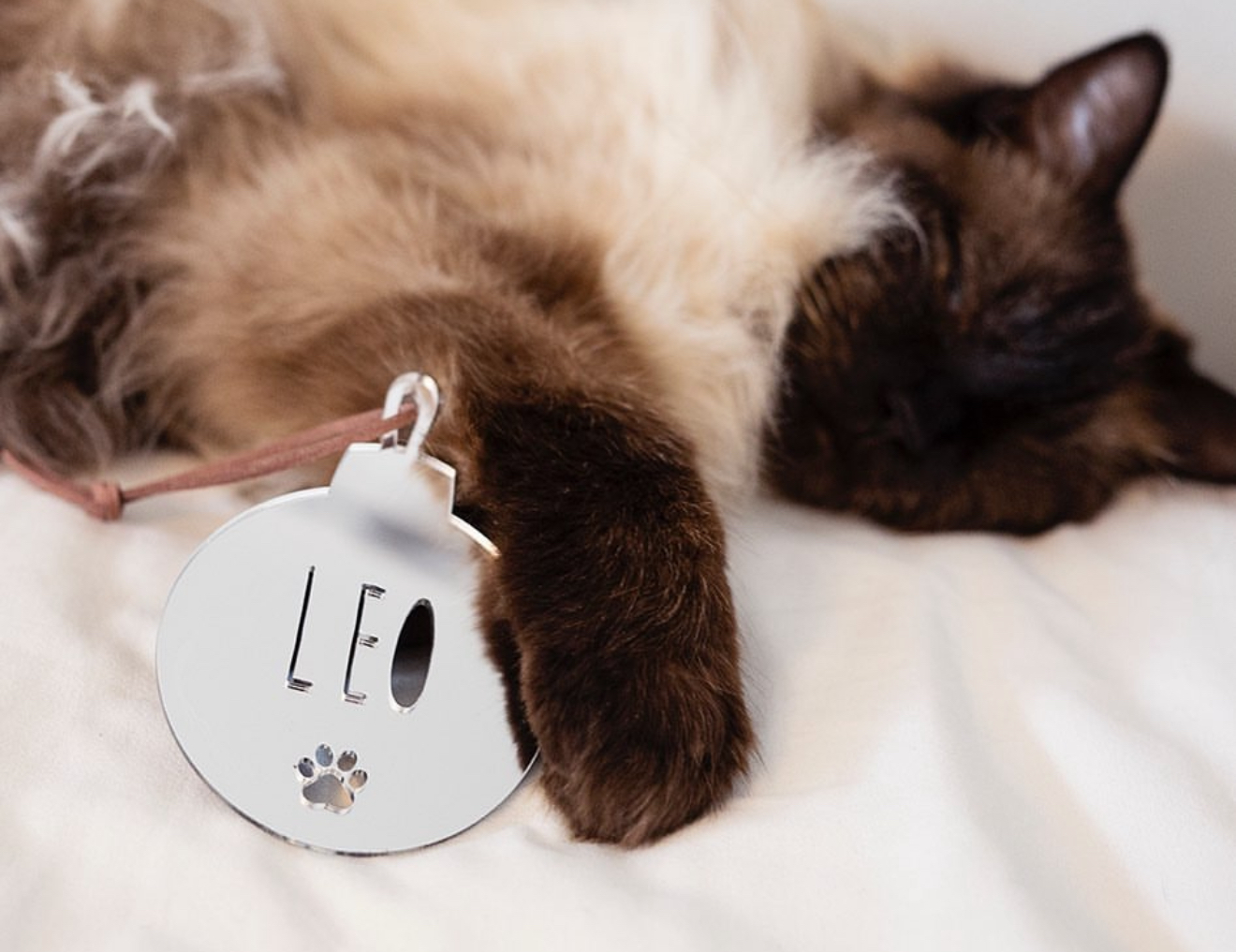 Julkula - akryl - Bild 3