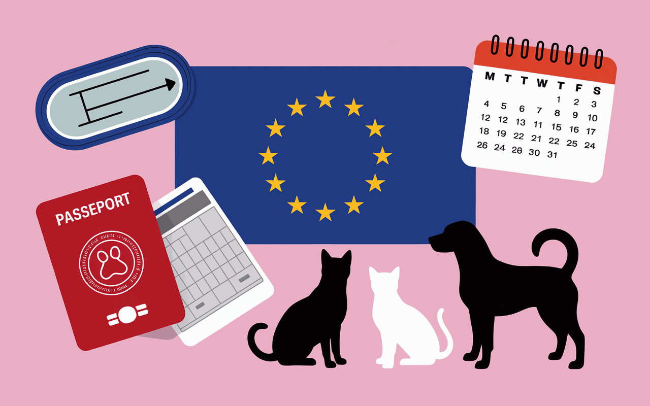 anivetvoyage passeport vaccination puce animaux Europe