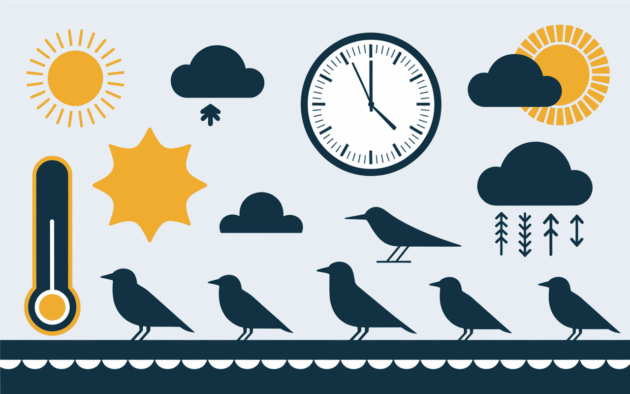 Infographie des facteurs influant sur combien de temps un oisillon peut rester sans manger