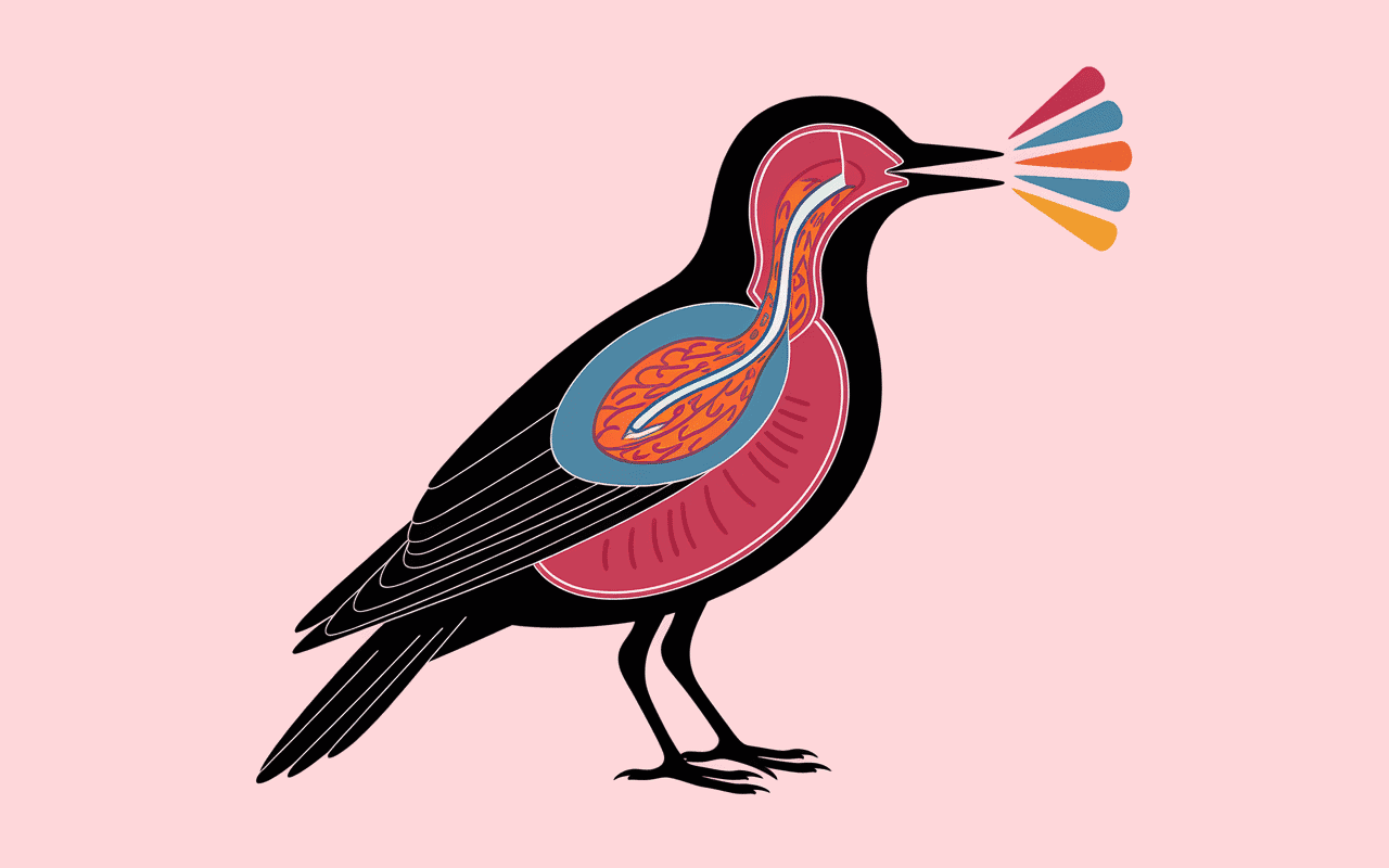 Diagramme sur l'anatomie du chant du pinson