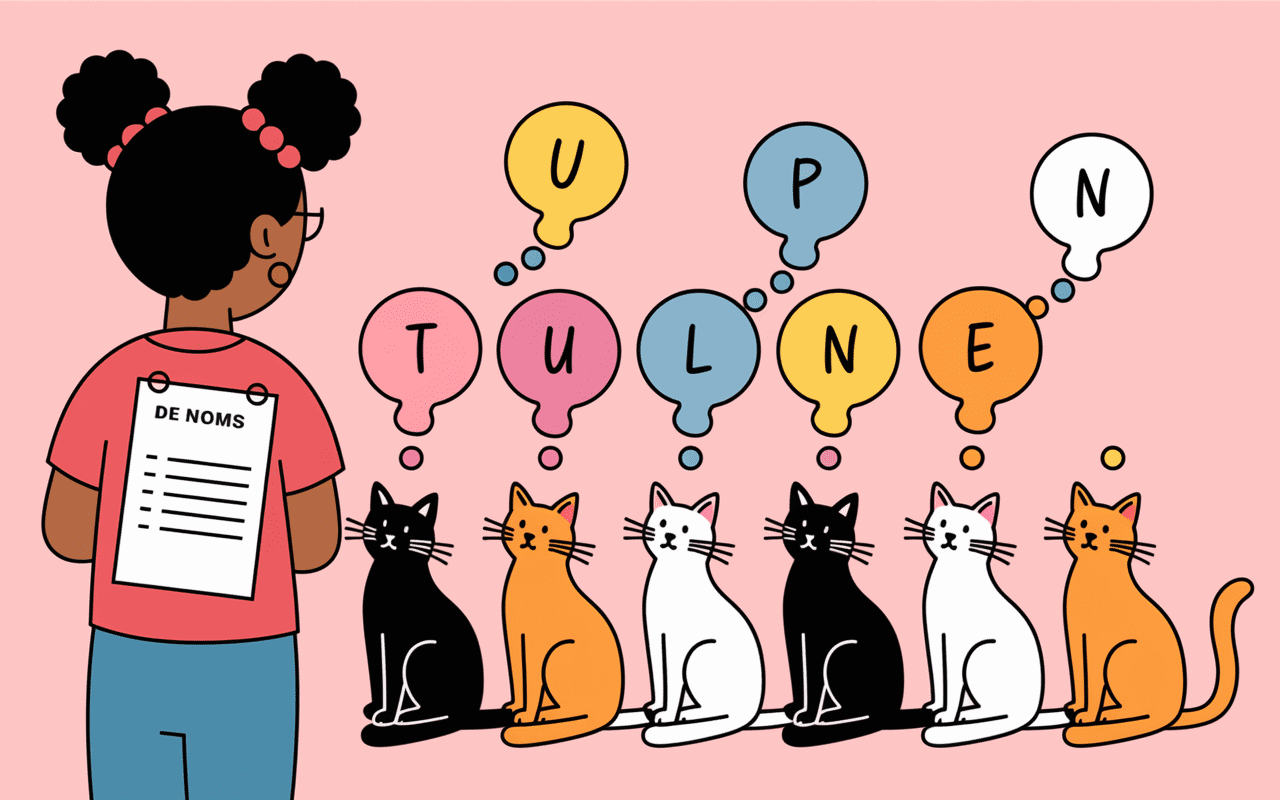 Choisir nom chat année chat lettre