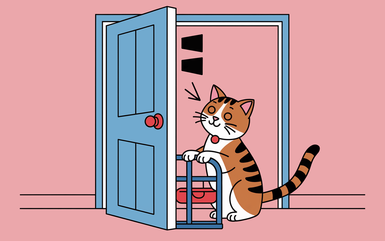 Chat utilisant une chatière