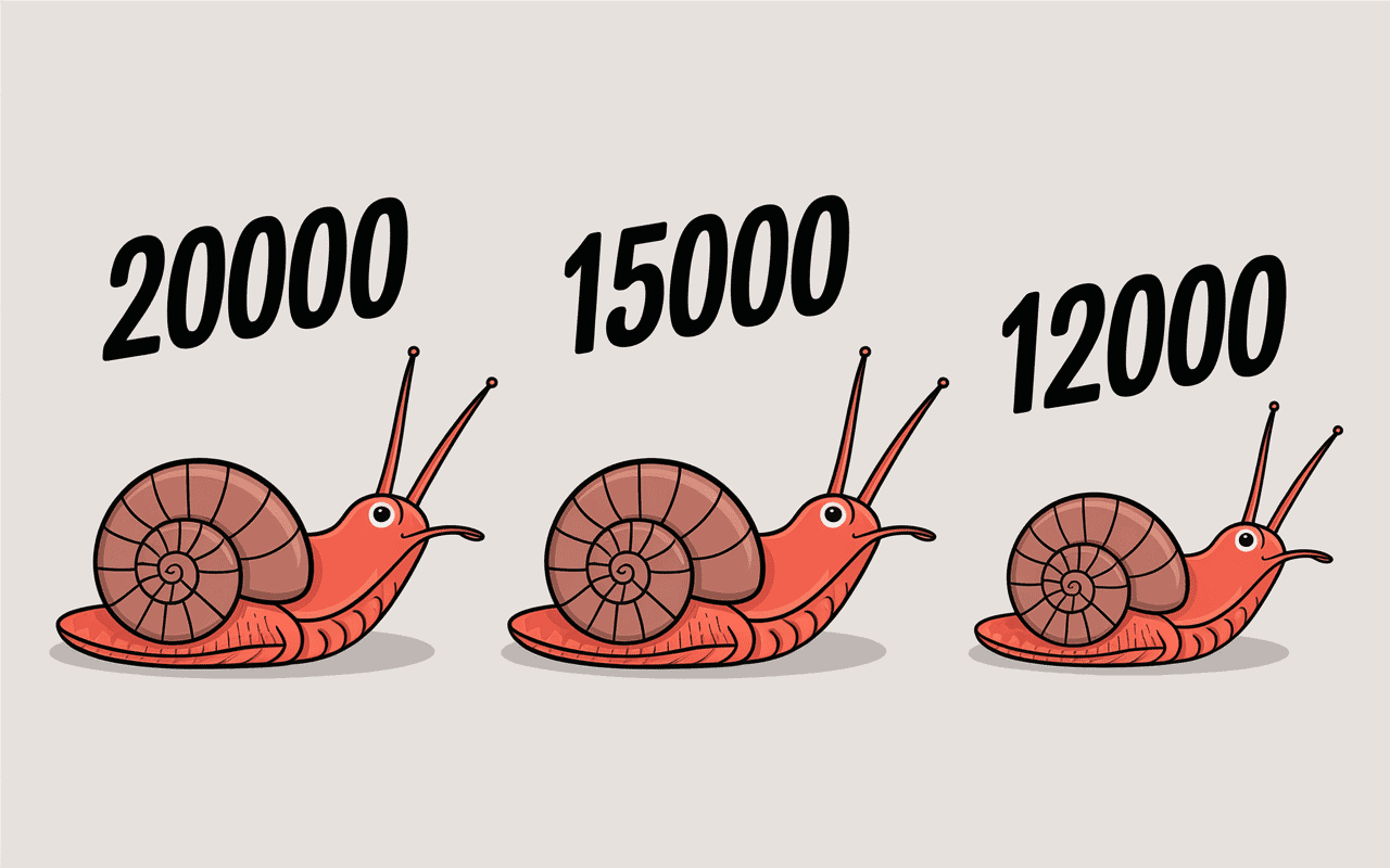 Comparaison du nombre de dents chez différents escargots