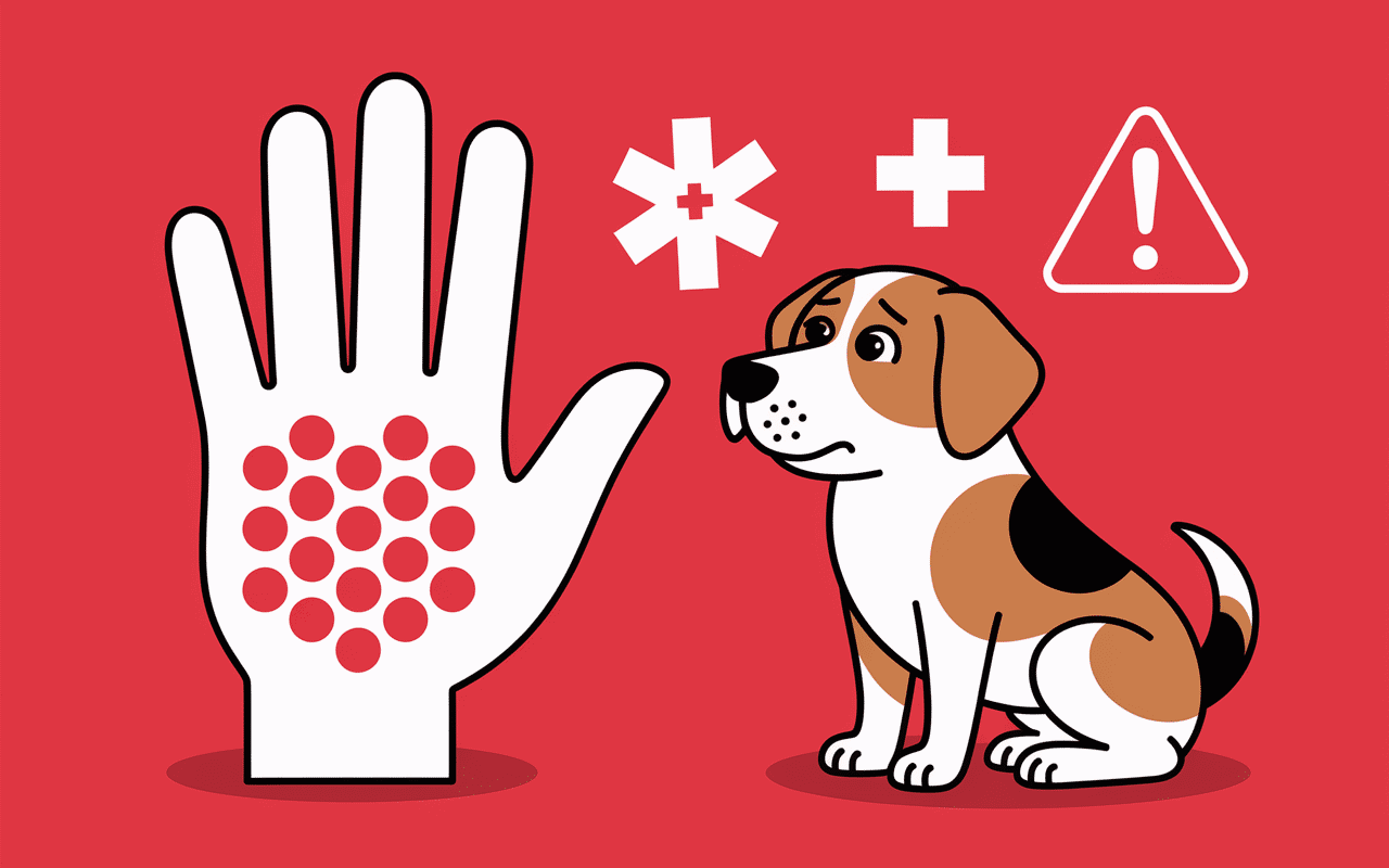 Piqûre fourmi de feu main chien inconfort