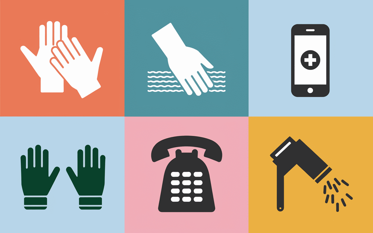 Gestes premiers secours morsure araignée Provence