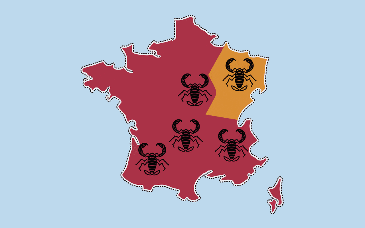 carte distribution scorpions france