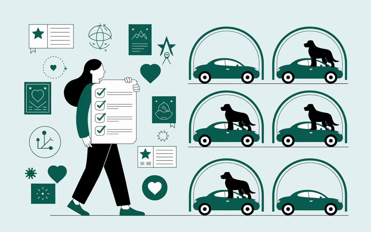 Vérification éleveur American Bully