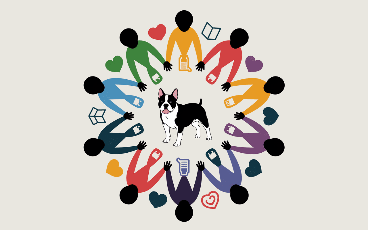 bullylove.fr mission illustration communauté Bully