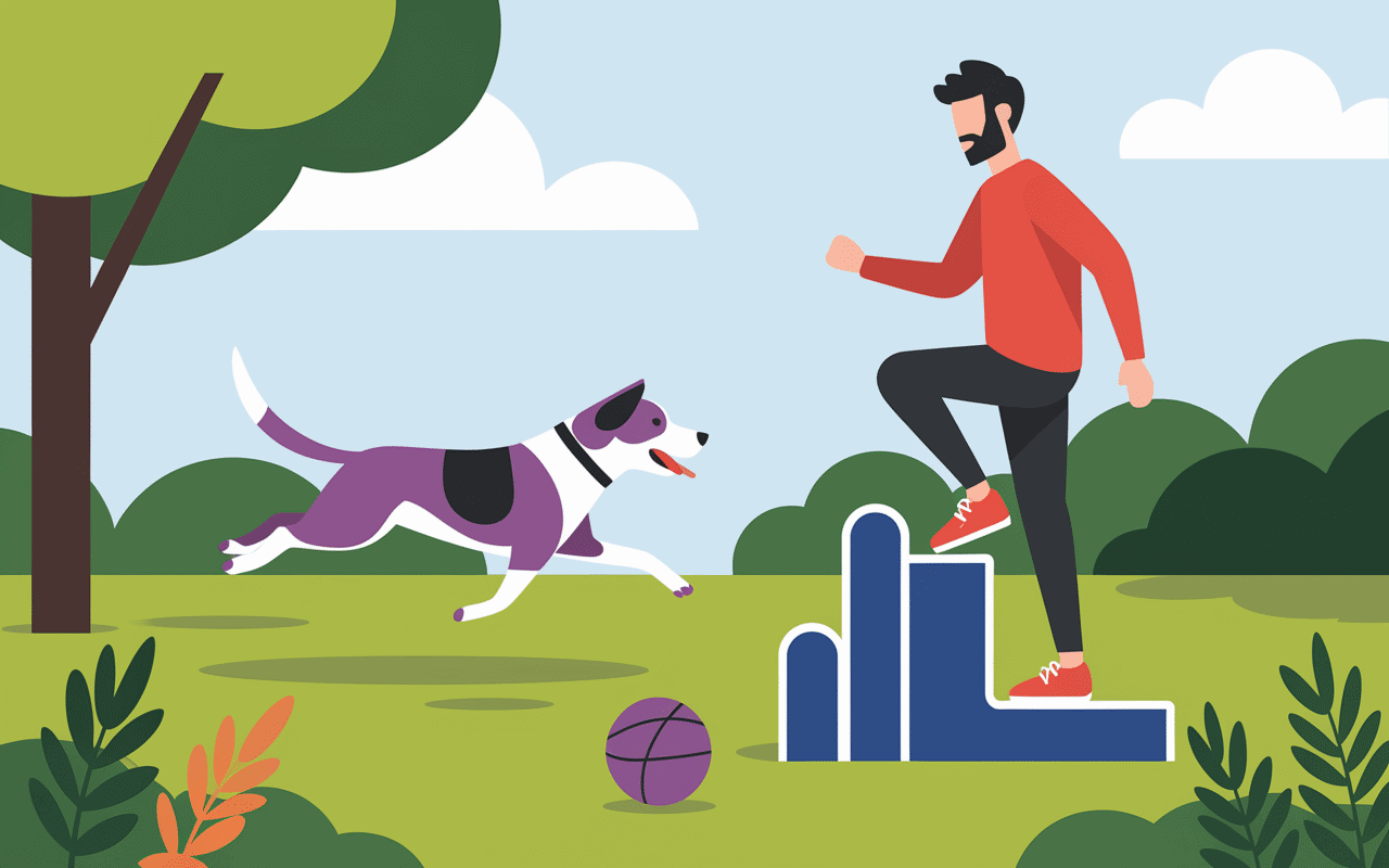 croisé labrador malinois exercice agility éducation