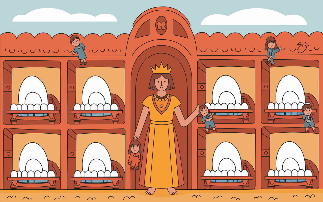 Coupe fourmilière avec oeufs fourmis et reine