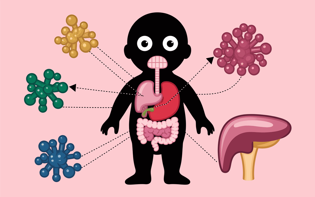 Schéma huiles essentielles toxiques pour les rongeurs système respiratoire