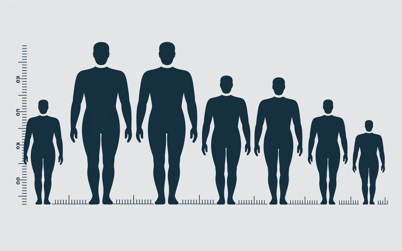 Comparaison tailles samsky taille