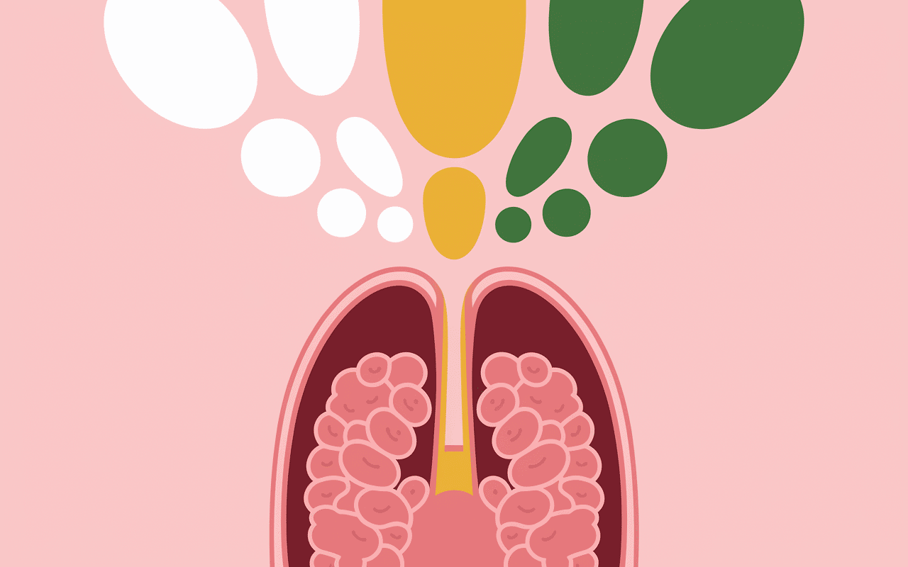 Diagramme vomir de la mousse explication couleurs et causes