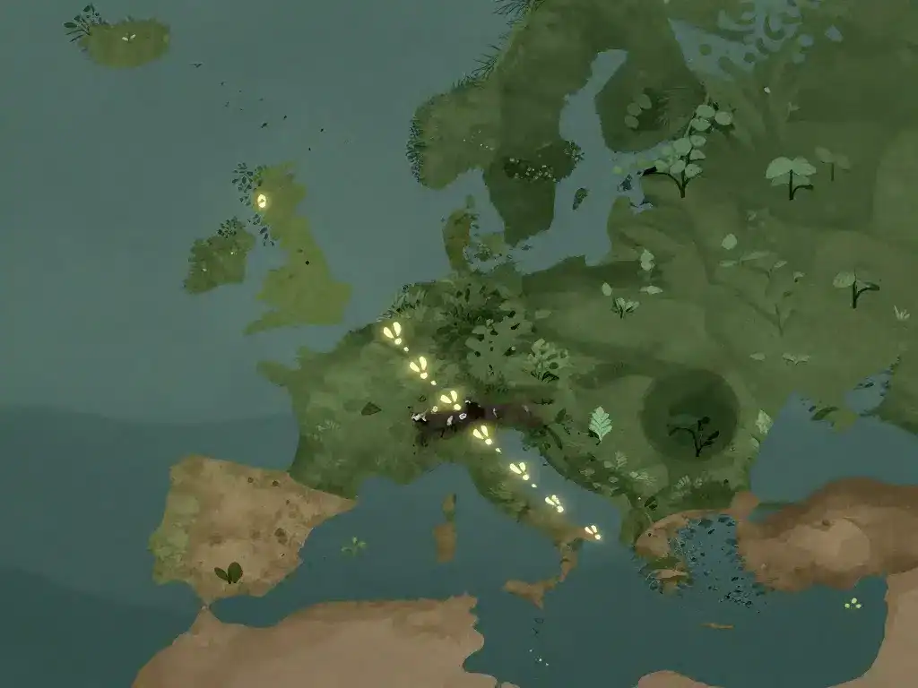 carte stylisée, empreintes de muntjac et effets écologiques