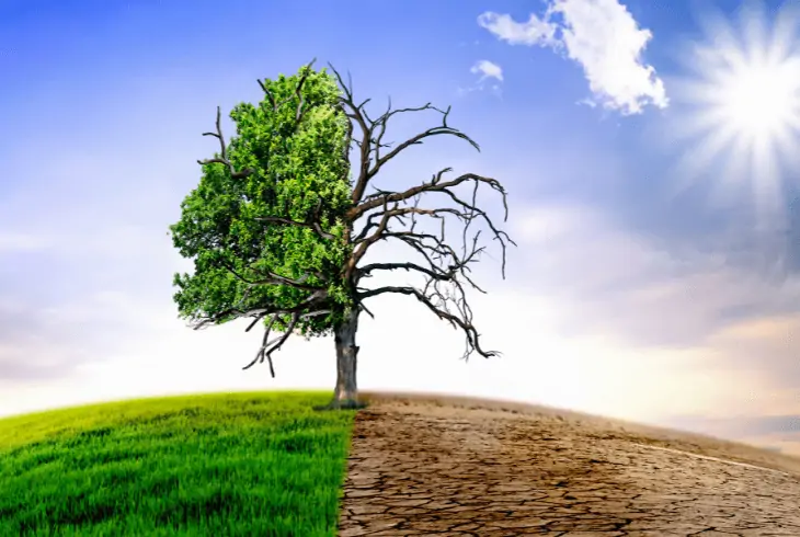 climate and latitude