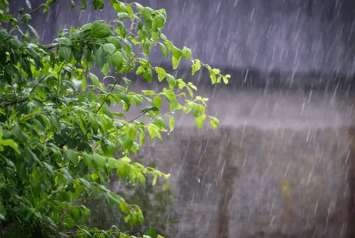 rainwater falls on land