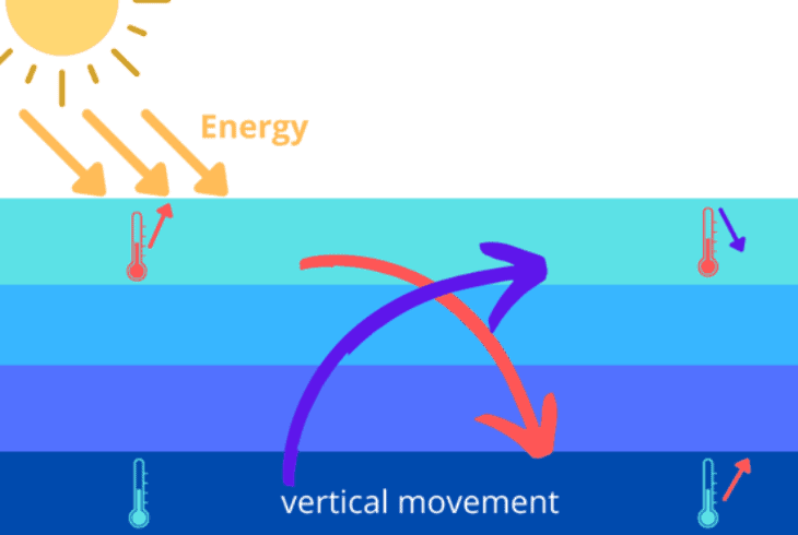 vertical movement