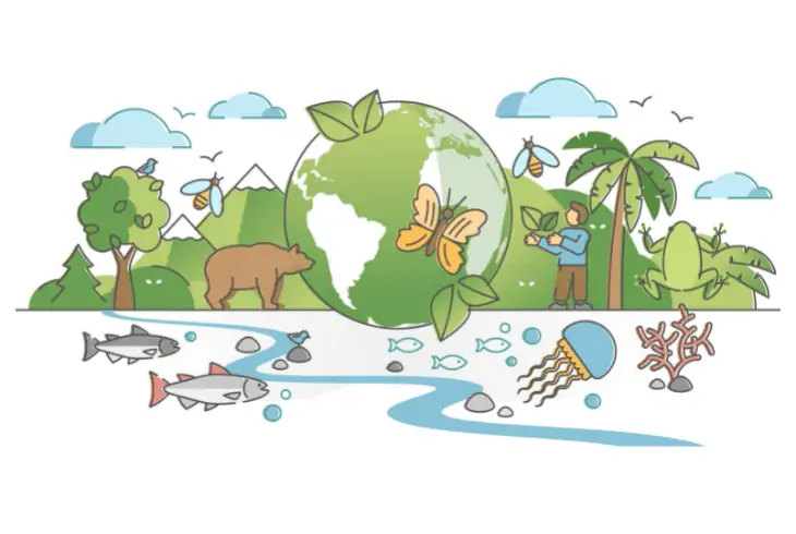 effects on ecosystem overfishing
