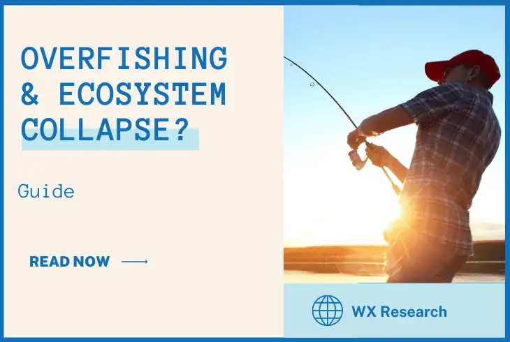 why can overfishing lead to ecosystem collapse