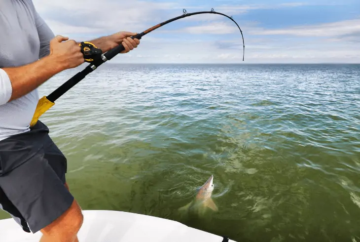 ecosystem overfishing