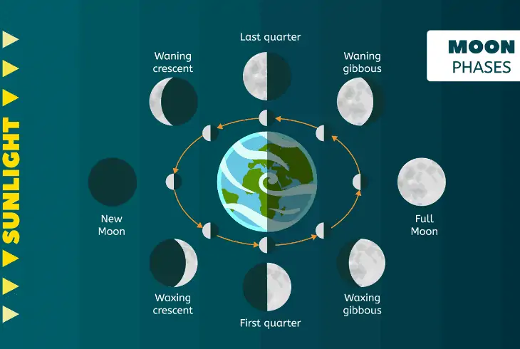 moon rotates phases