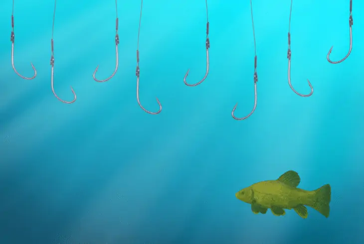 overfishing solutions