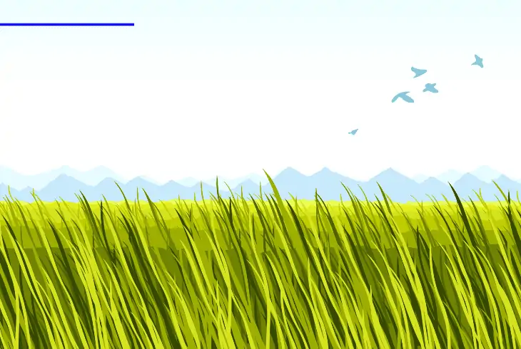 land breeze characteristics