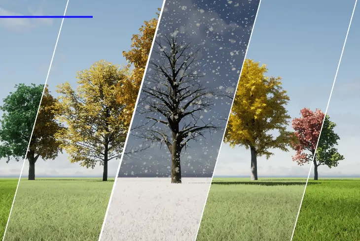 climate and weather