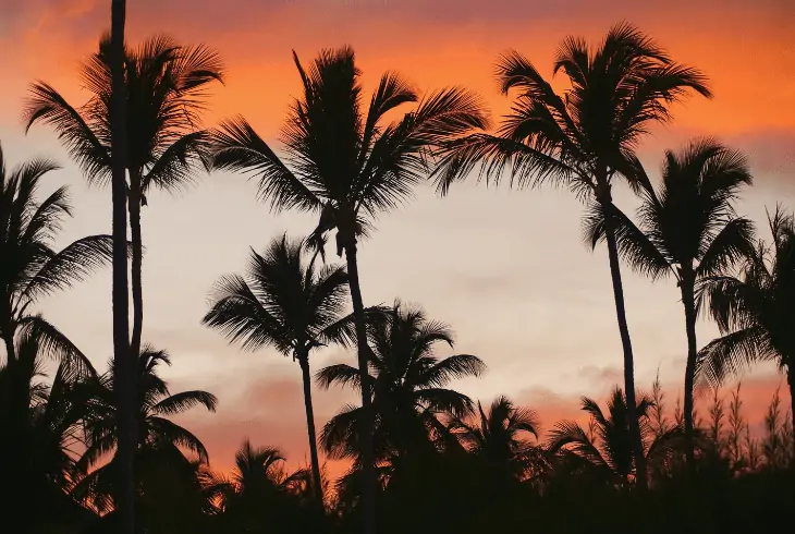 land breeze night