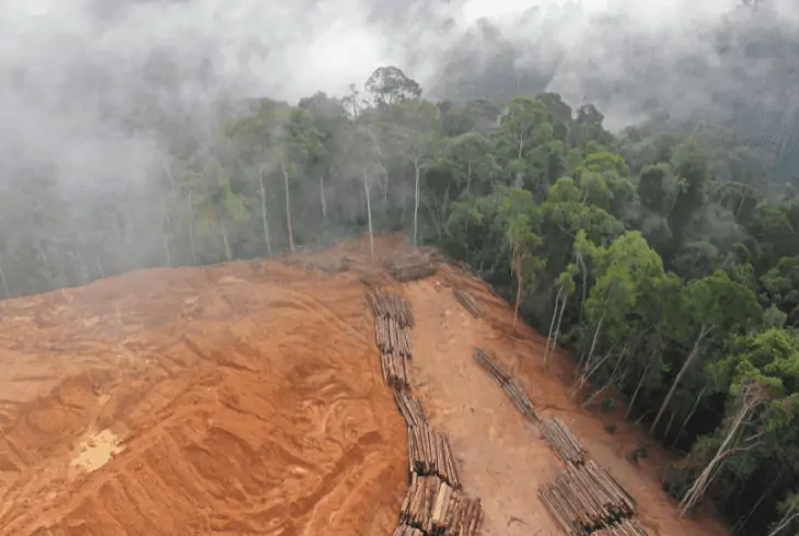 deforestation of amazon