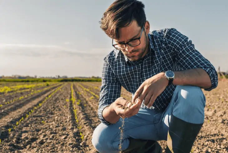 soil quality decrease