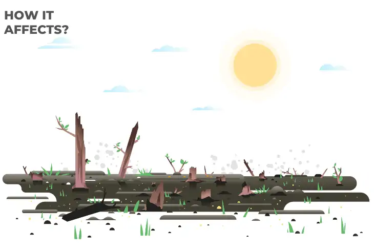 deforestation affect the biosphere