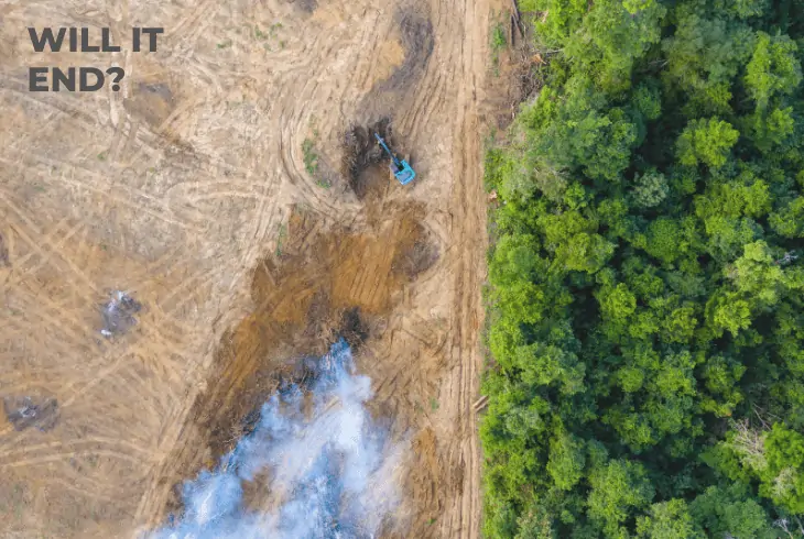 end of deforestation