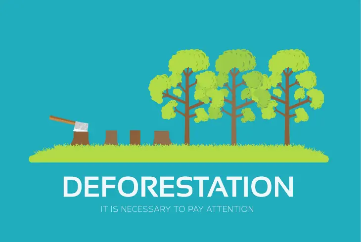 deforestation what is