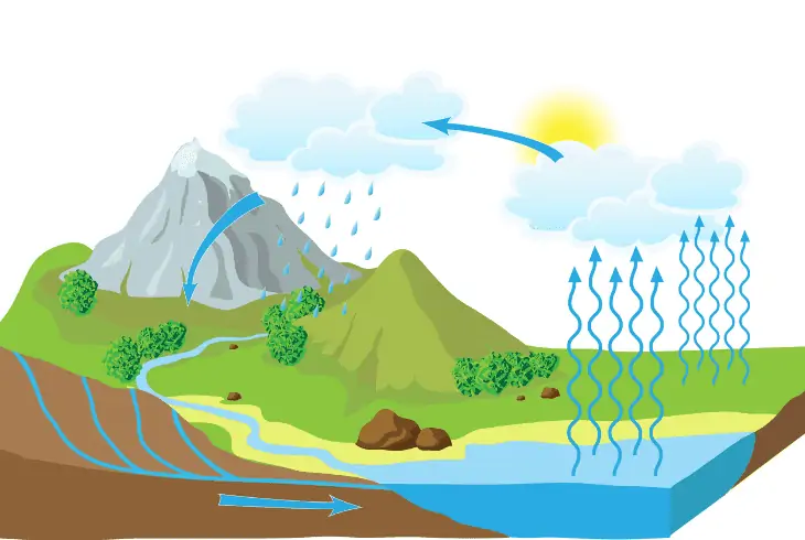 factors transpiration